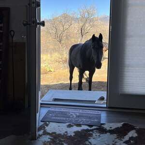 Meet your Posher, Virginia